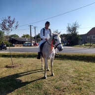 szuret2023_44_20231017